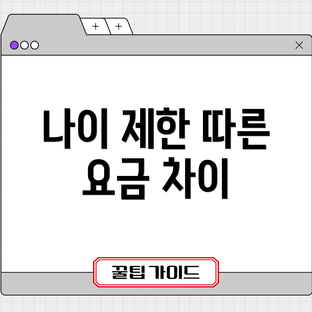 나이 제한 따른 요금 차이