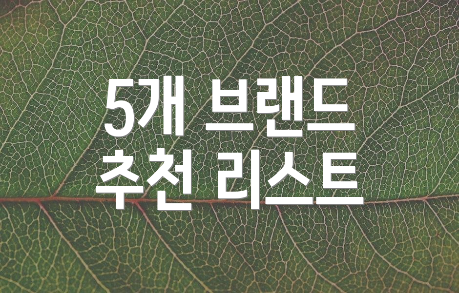 5개 브랜드 추천 리스트