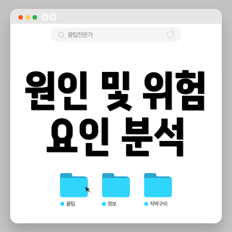 원인 및 위험 요인 분석