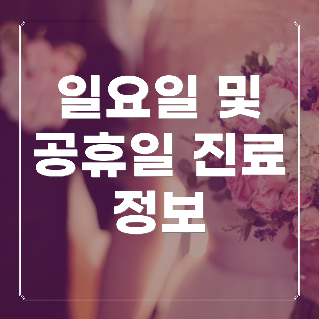 일요일 및 공휴일 진료 정보