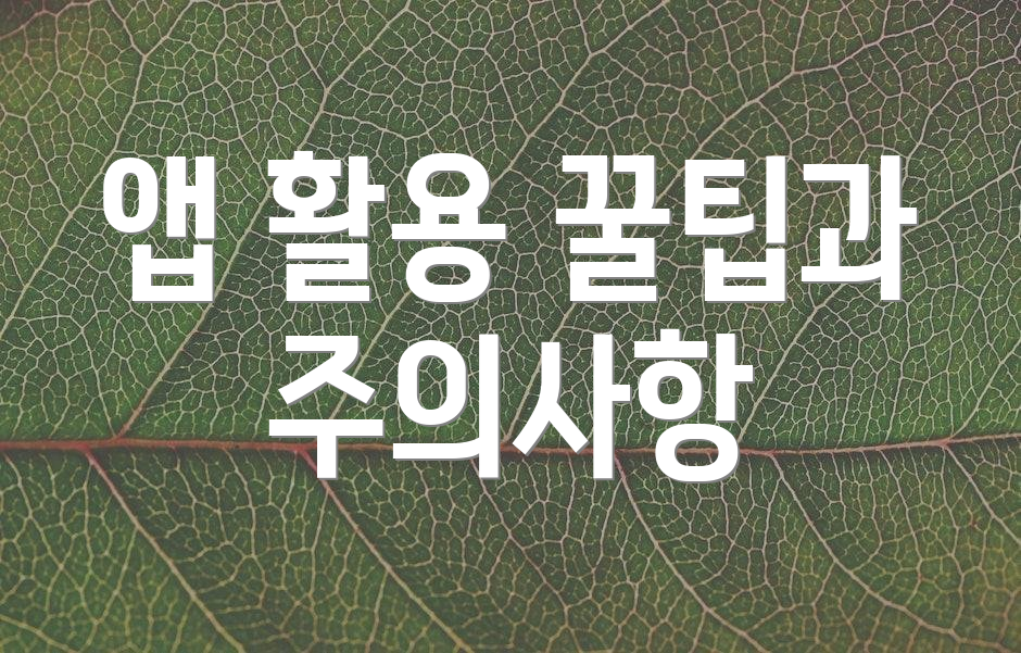 앱 활용 꿀팁과 주의사항