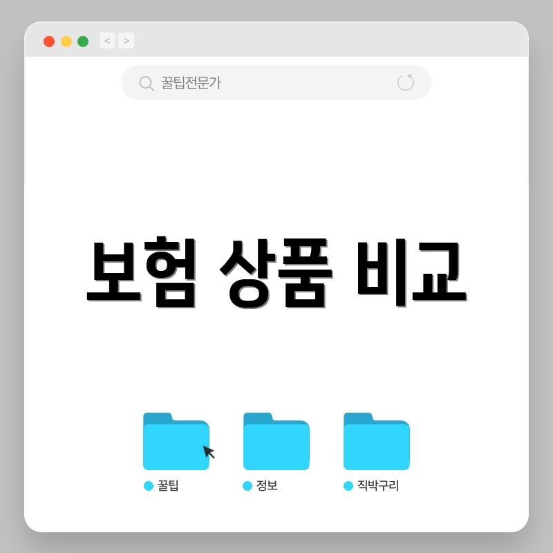 보험 상품 비교
